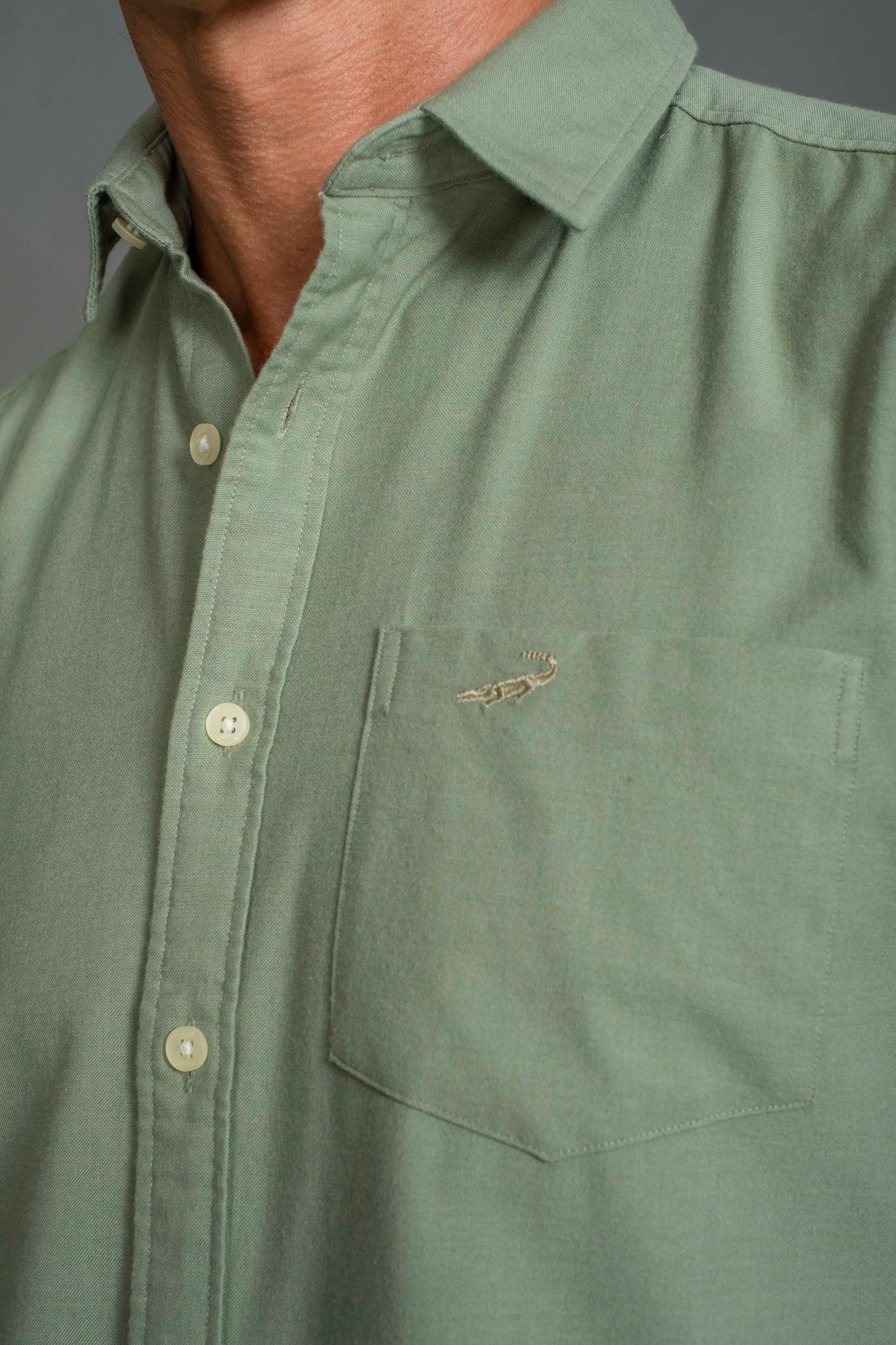 Slim Fit Short sleeves - Casual Shirt - Green Jade