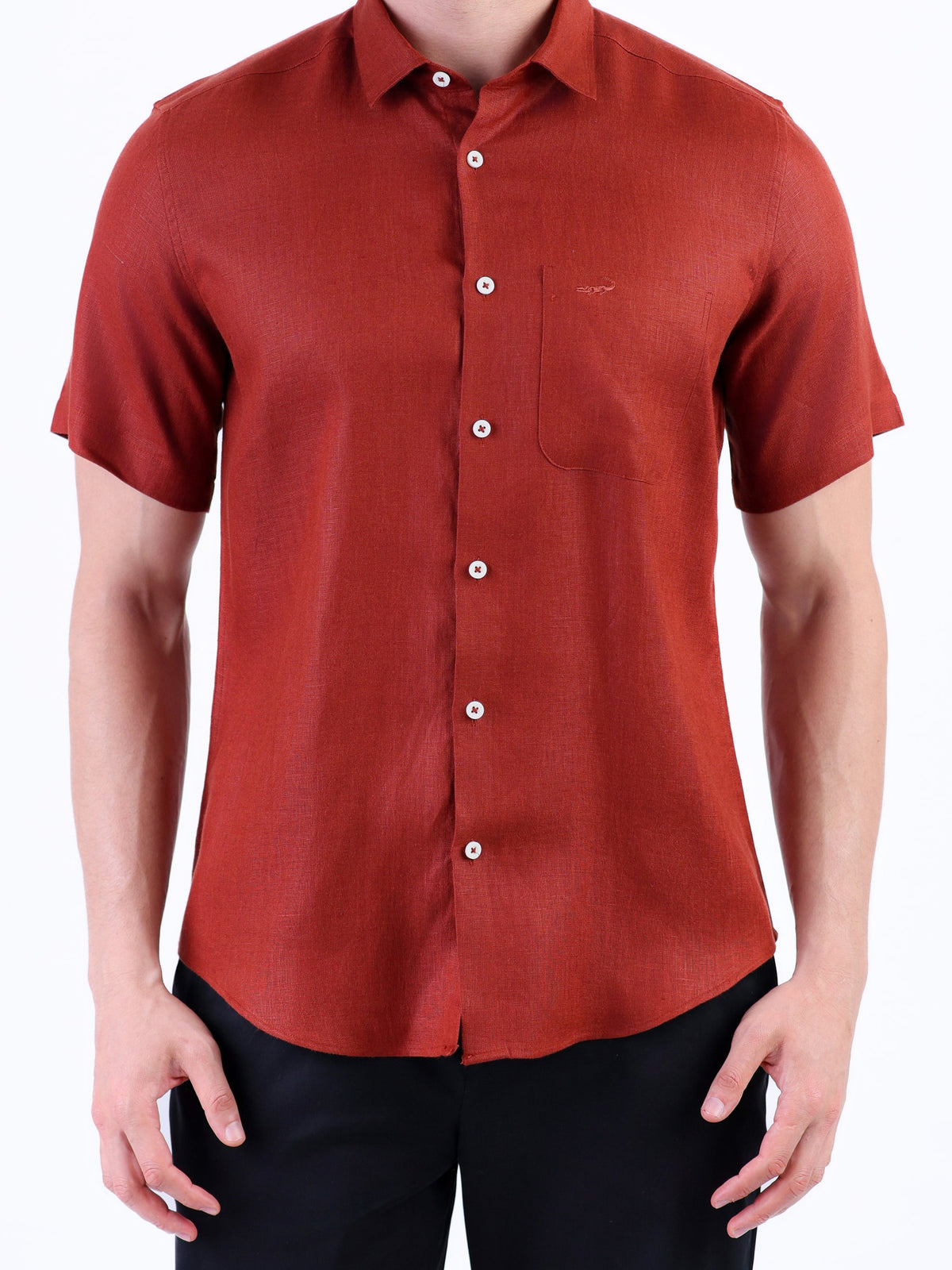 Casual Linen Looks Slim Fit Shirt - Brown Tane