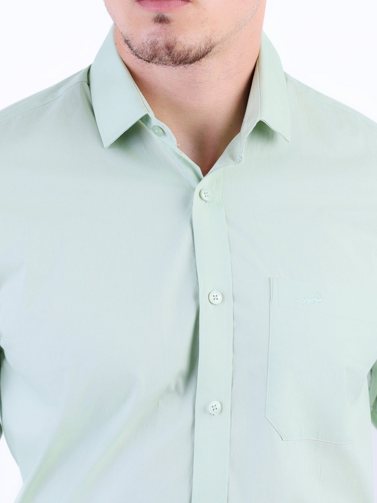 Formal Seasonal Plain Regular Fit Shirt - Absinthe Green
