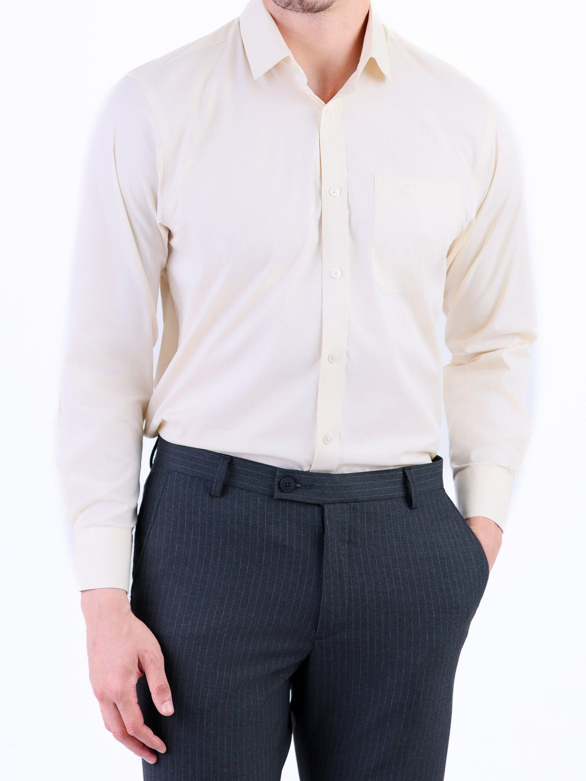 Formal Seasonal Plain Regular Fit Shirt - Pristine