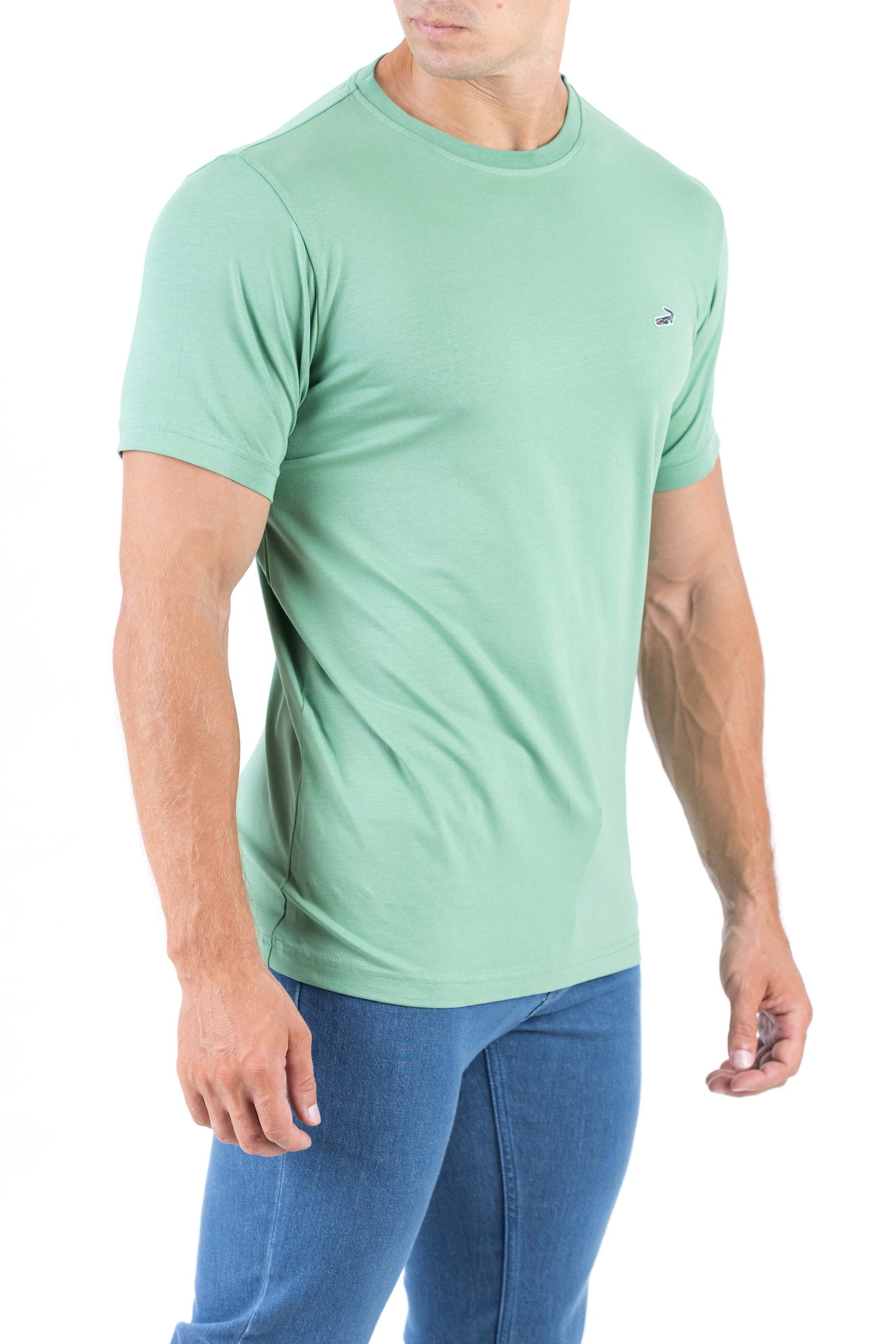 Crocodile Crew Neck Single Jersey Action Fit - Light Green