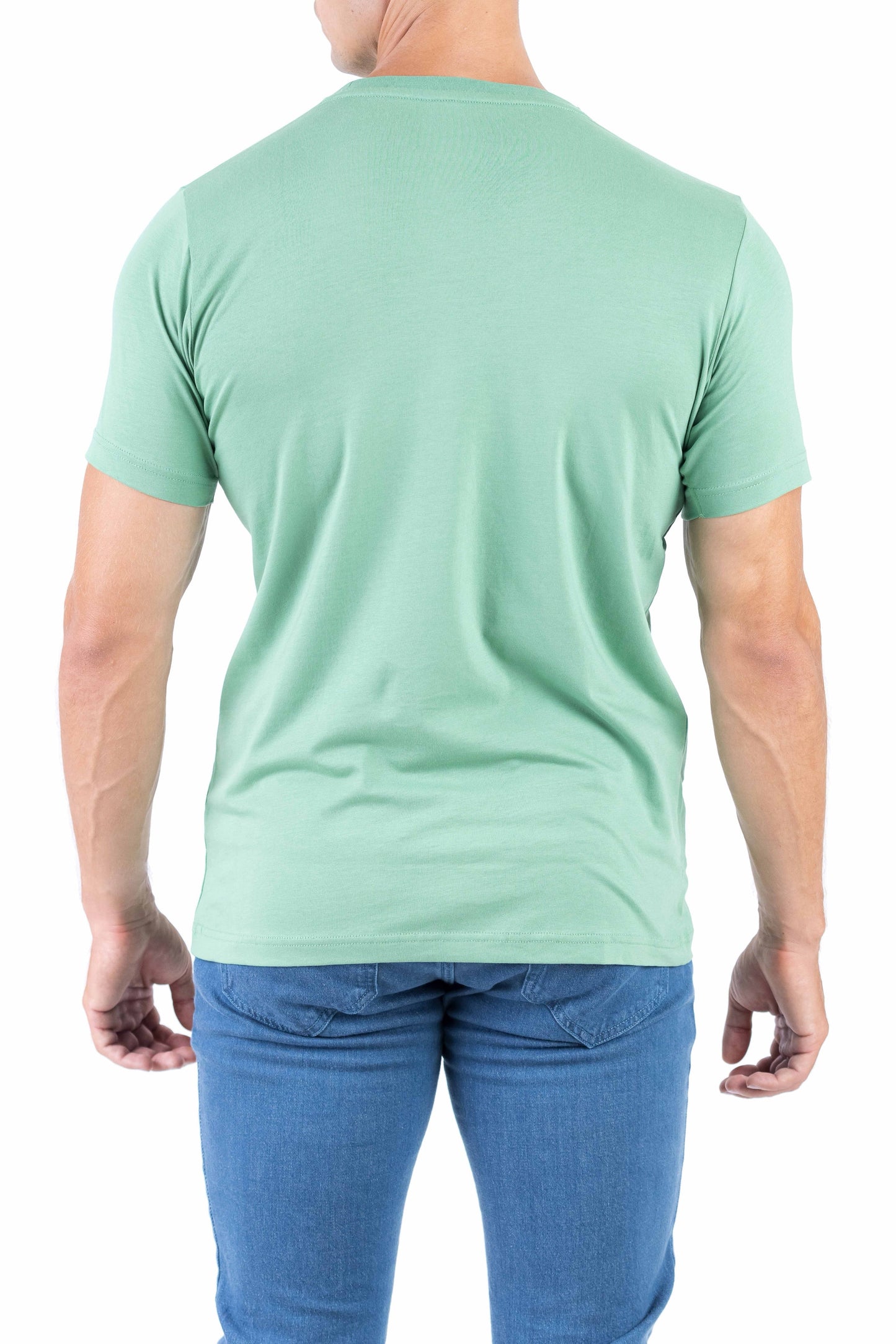 Crocodile Crew Neck Single Jersey Action Fit - Light Green