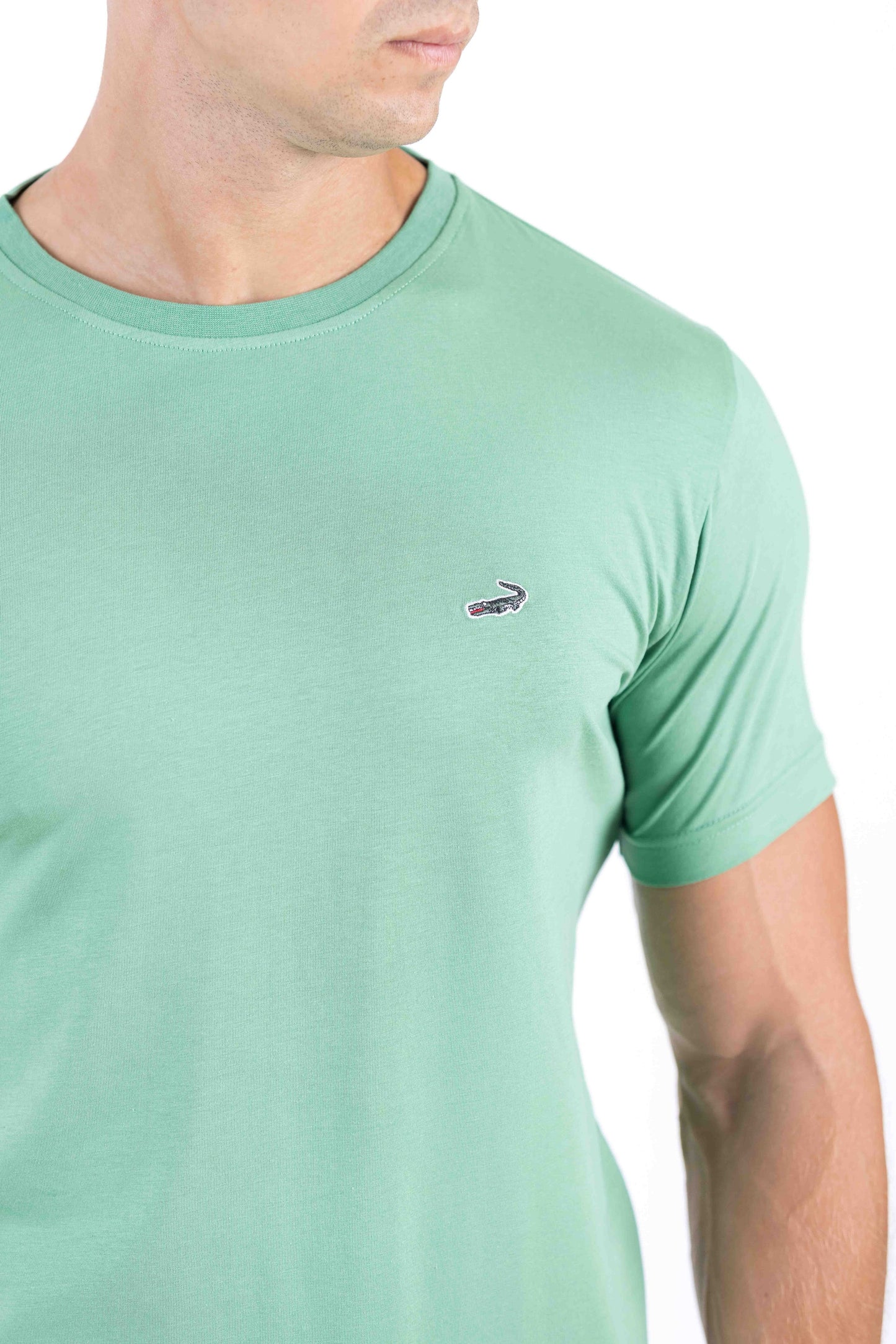 Crocodile Crew Neck Single Jersey Action Fit - Light Green