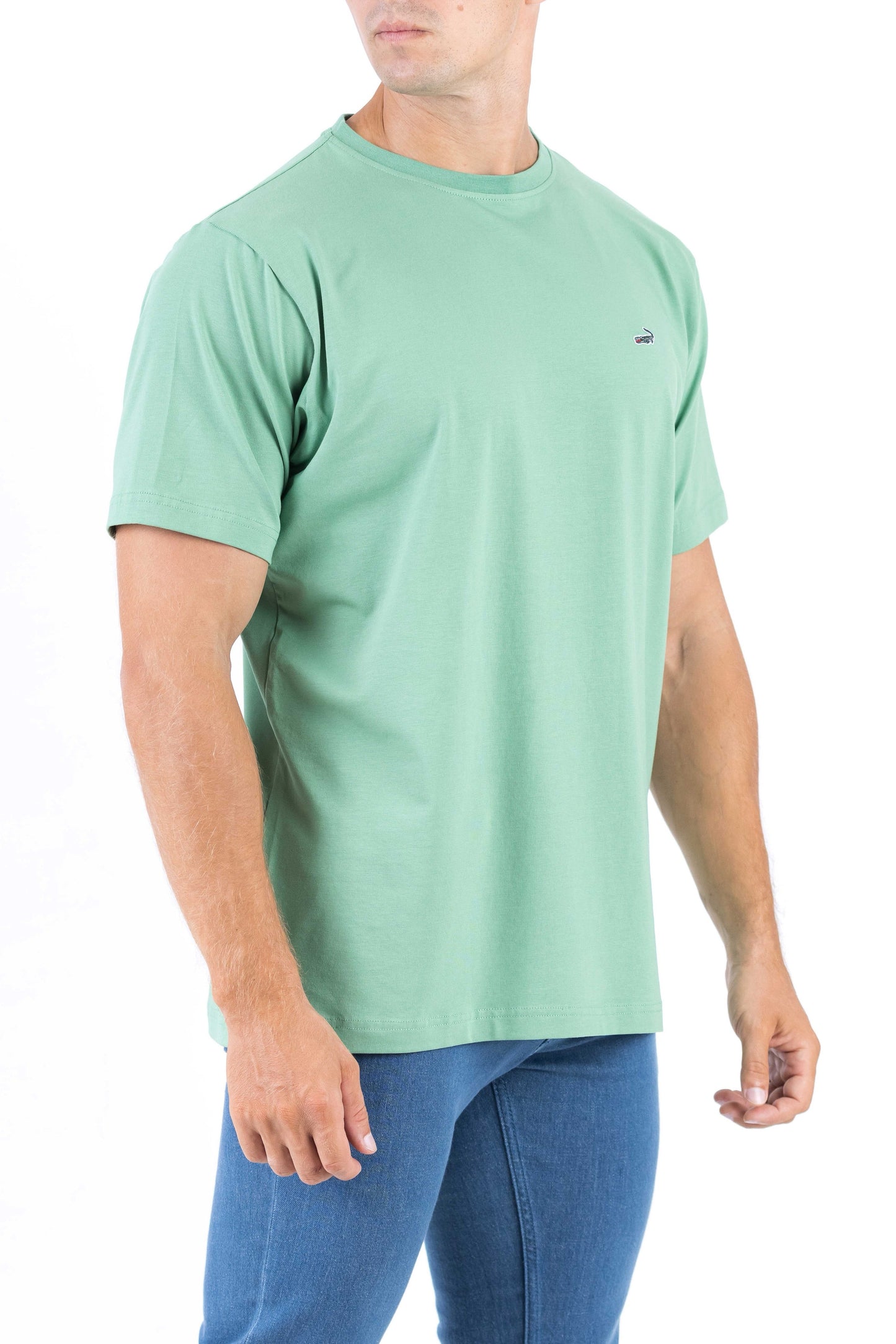 Crocodile Crew Neck Single Jersey Regular Fit - Light Green