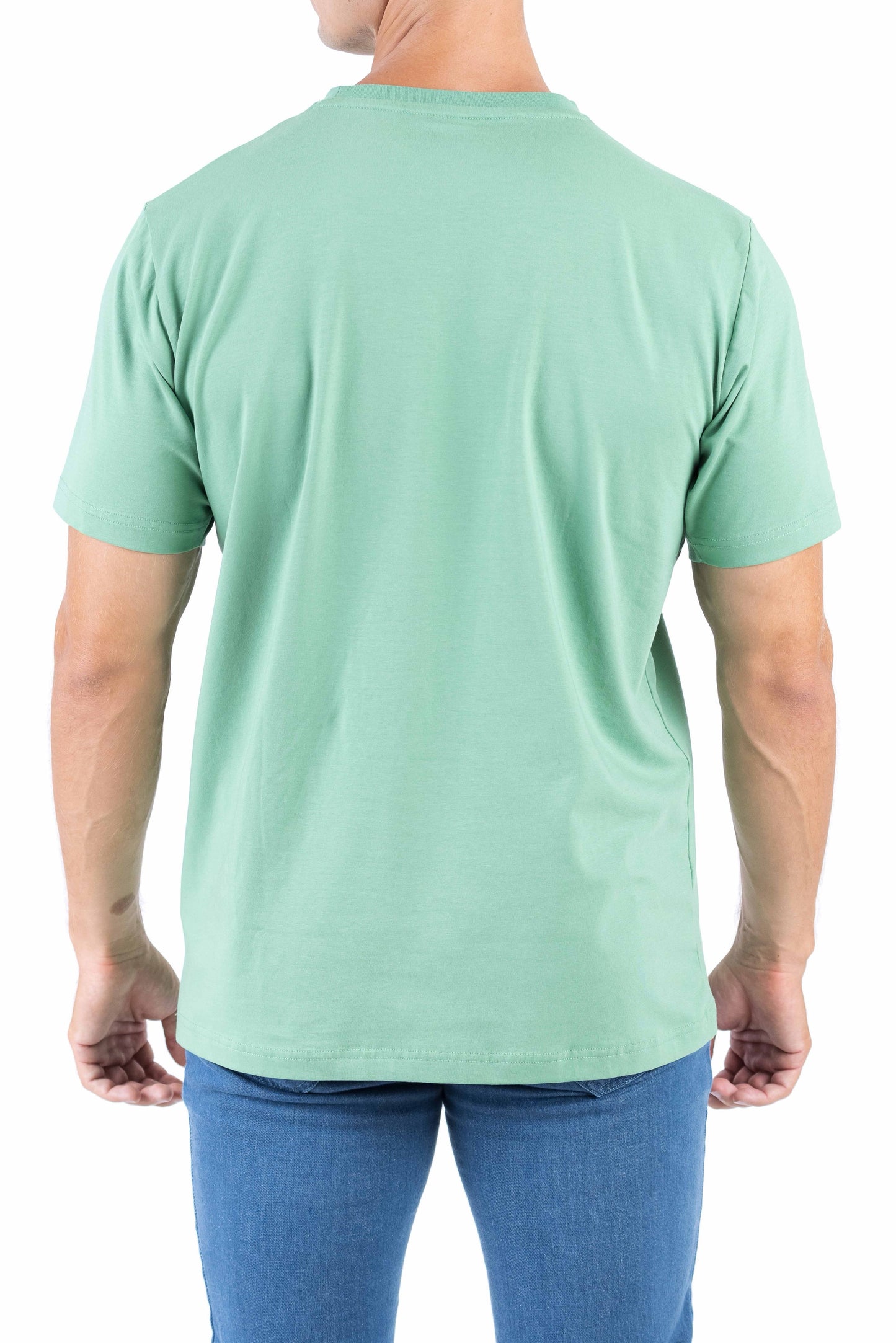 Crocodile Crew Neck Single Jersey Regular Fit - Light Green