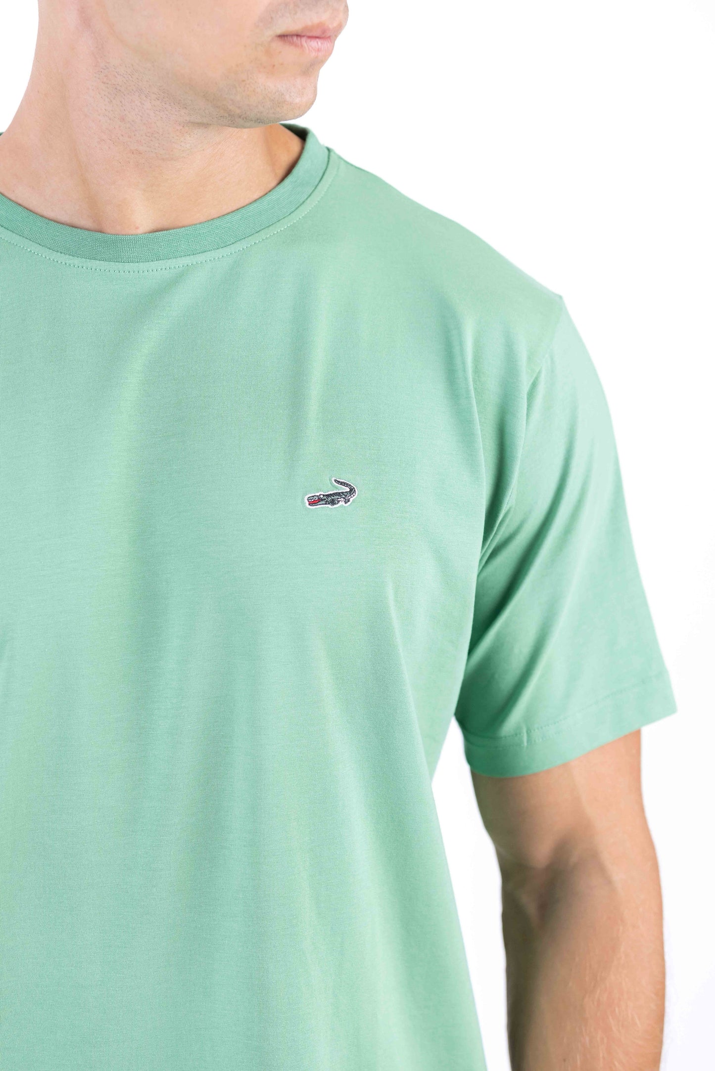 Crocodile Crew Neck Single Jersey Regular Fit - Light Green
