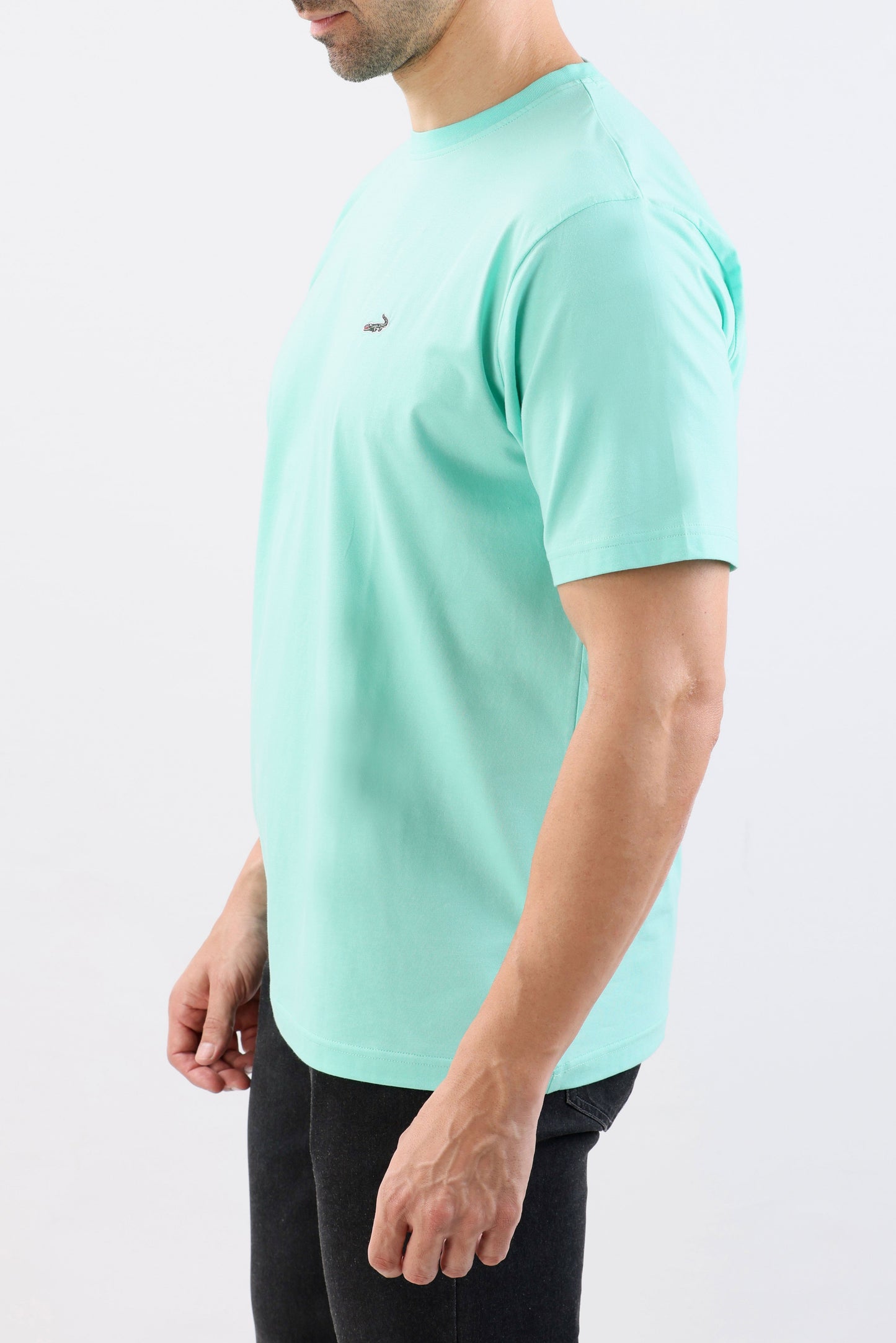 Crocodile Crew Neck Single Jersey Regular Fit-Biscay Green