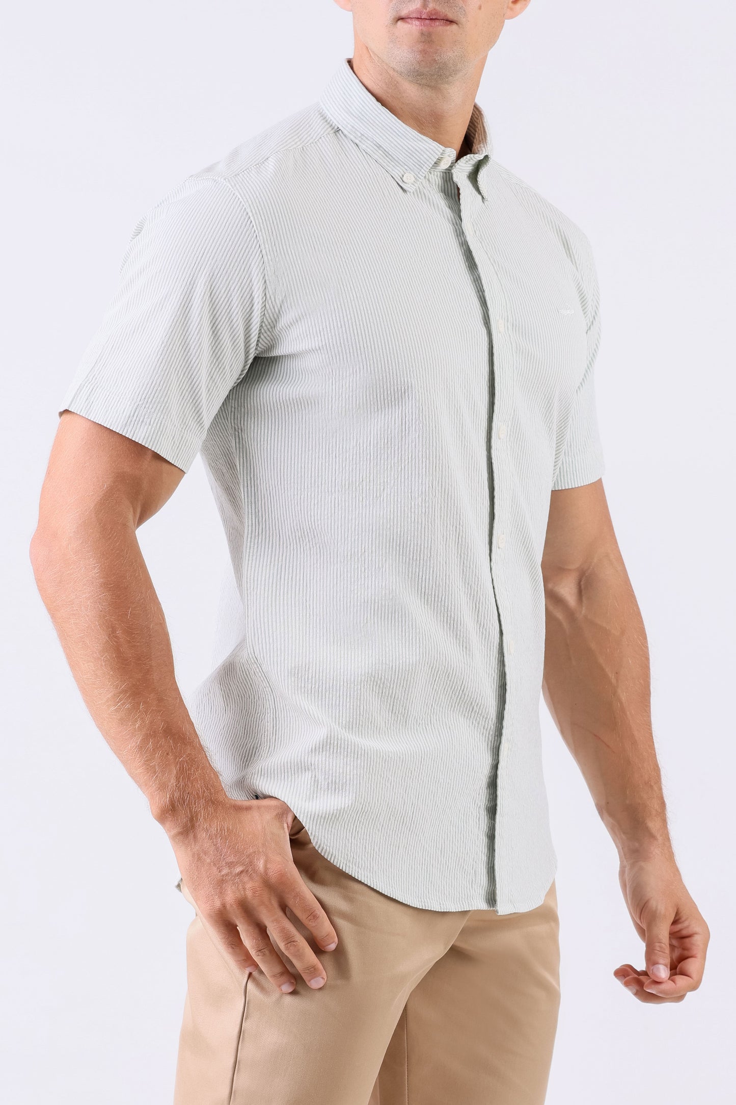 Crocodile Men Casual Stripe Slim Fit Shirt - Green Meadow