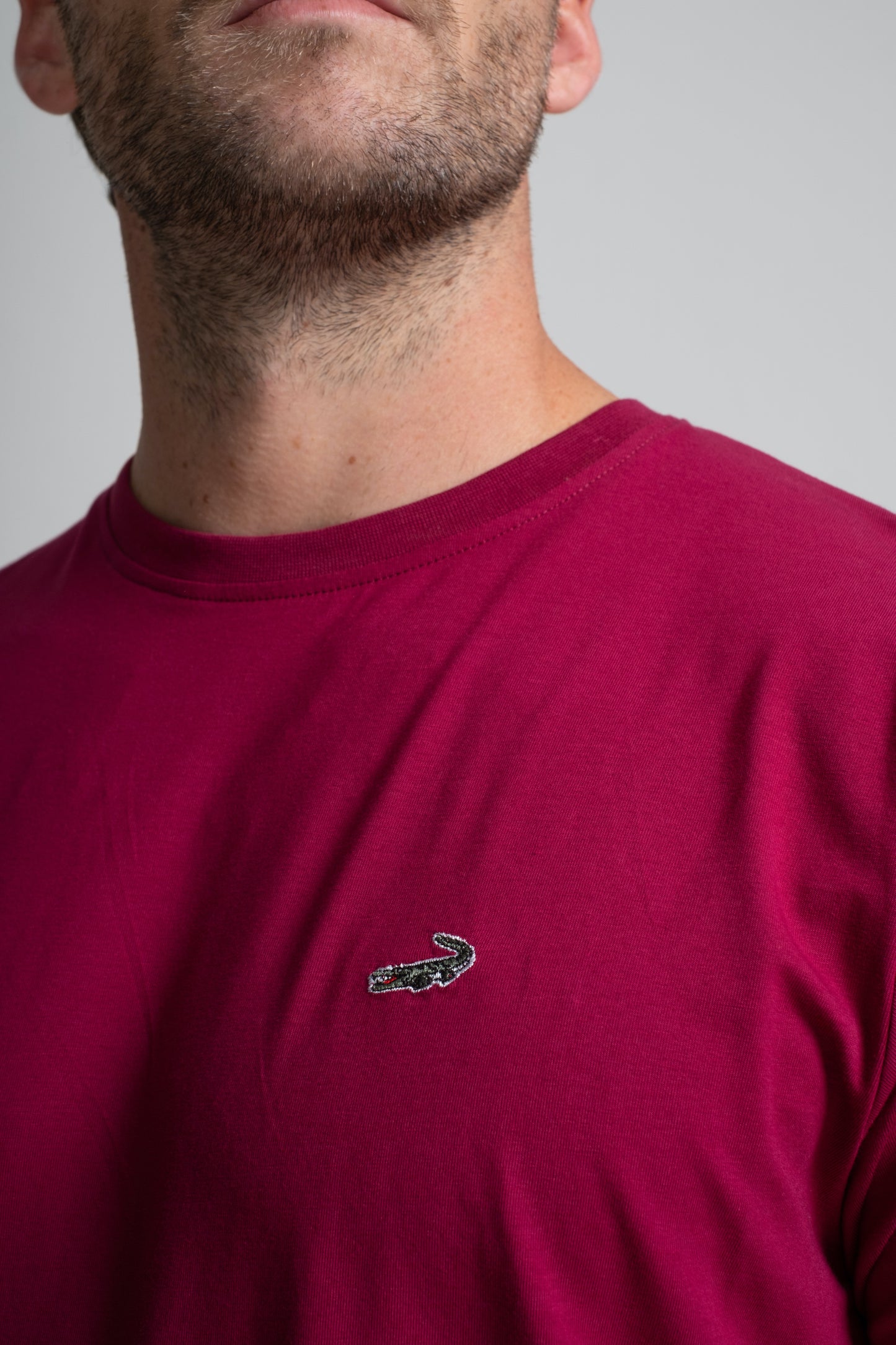 Classic Fit Short sleeves-CasualCrew Neck - Persian Red