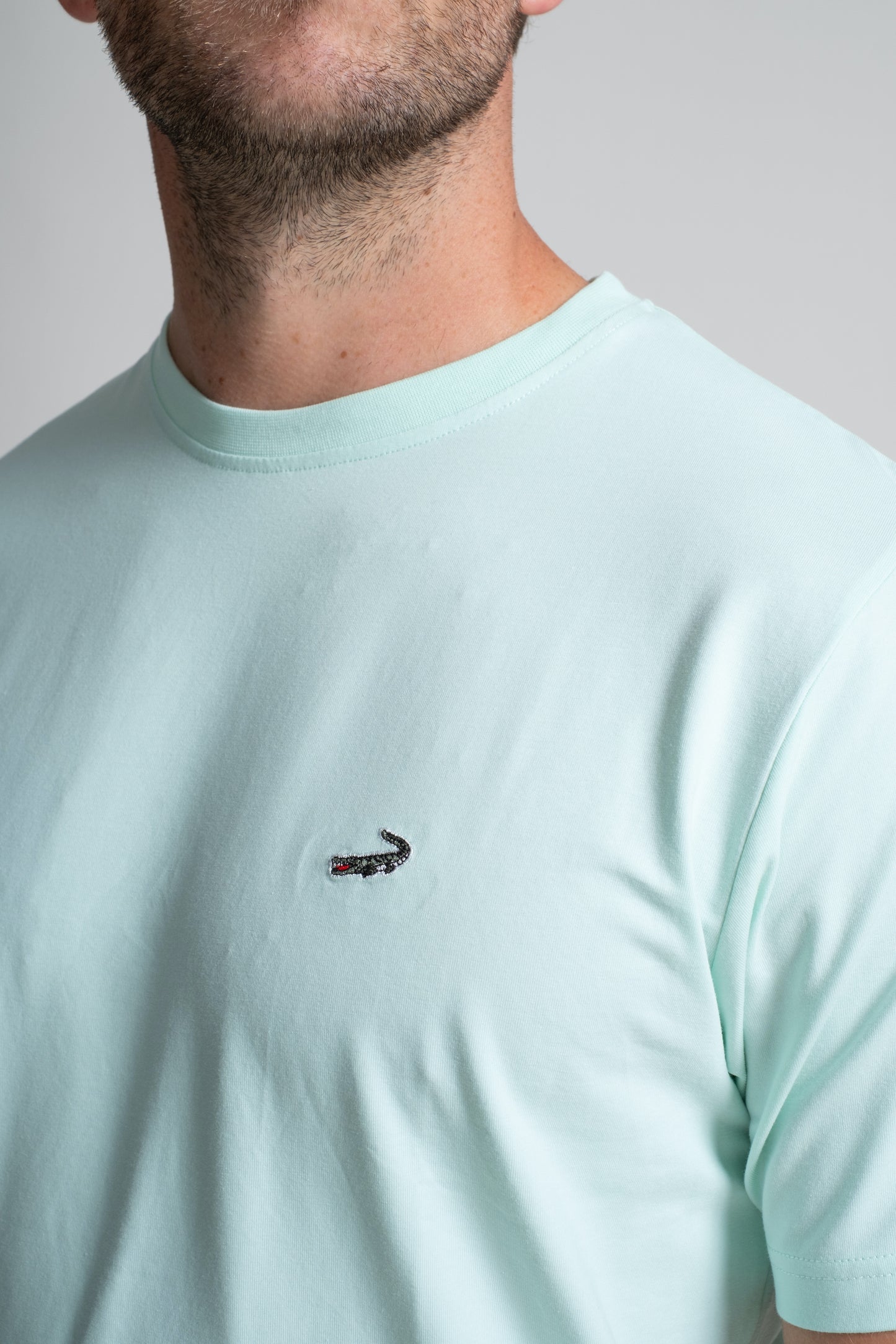 Classic Fit Short sleeves-CasualCrew Neck - Mist Green