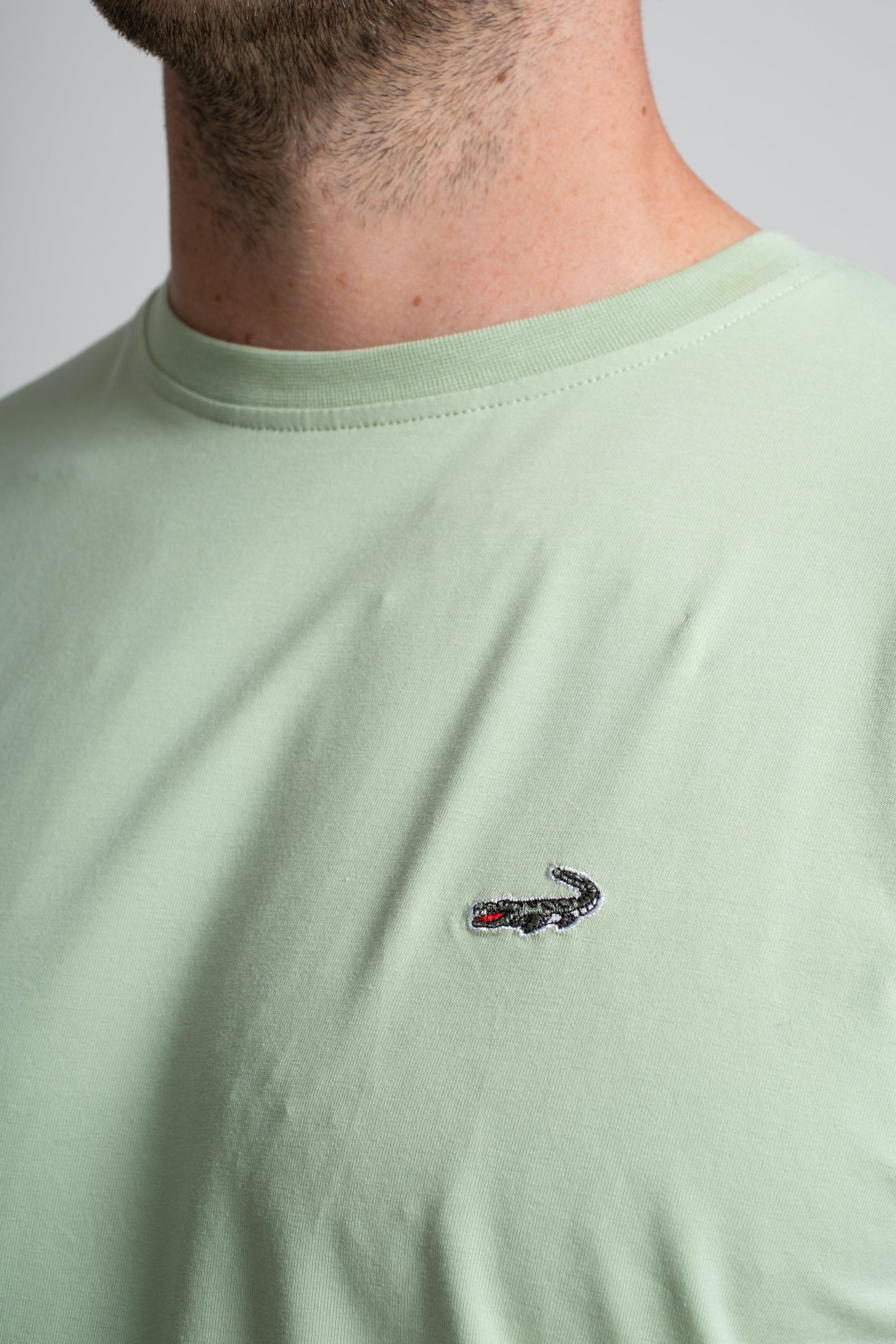 Classic Fit Short sleeves-CasualCrew Neck - Green Meadow