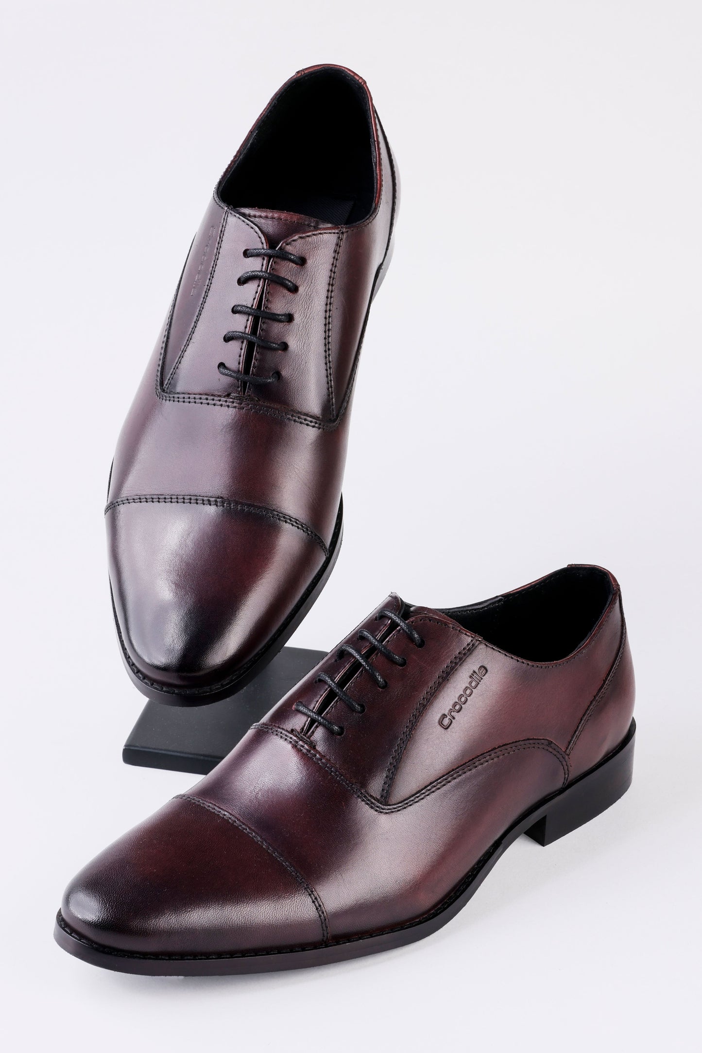 Duch Oxford - Wine