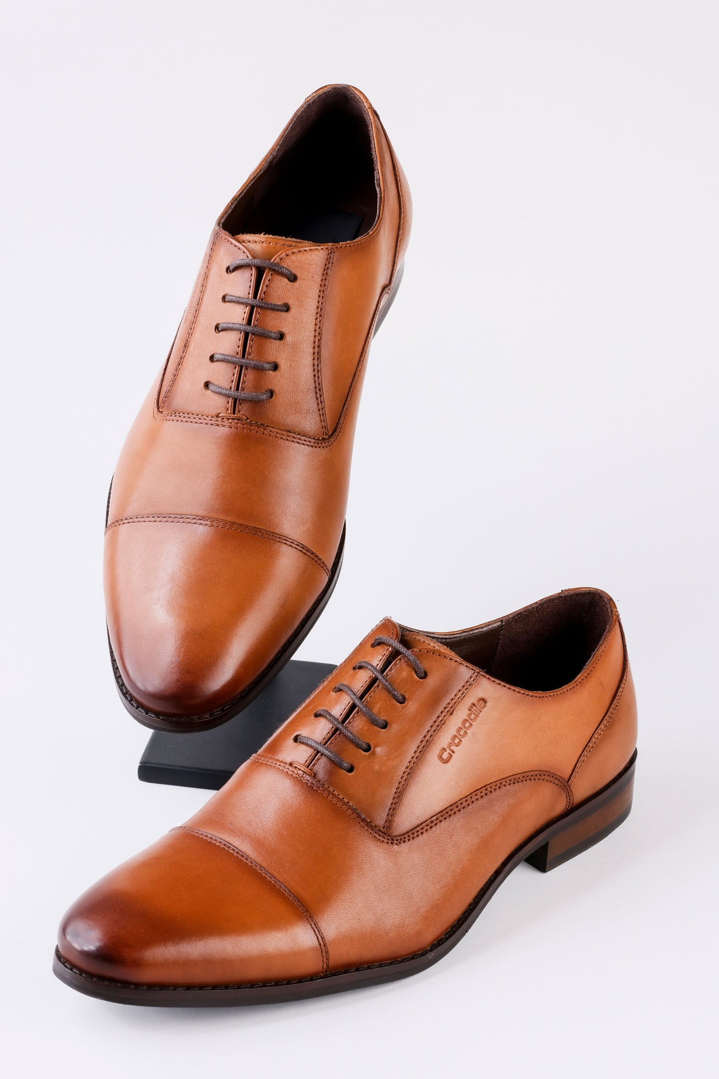 Duch Oxford - Tan