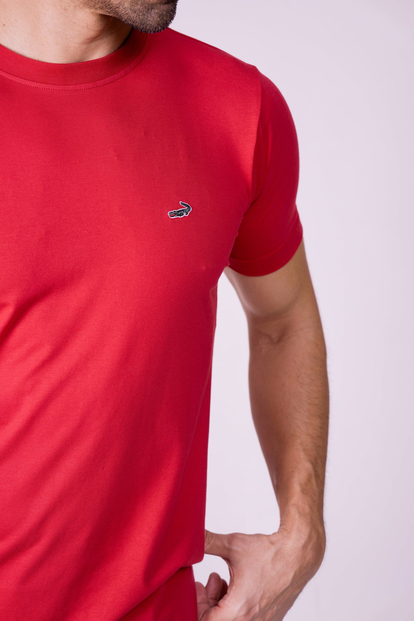 Crocodile Crew Neck  Action Fit Hs T Shirt Raspberry Wine