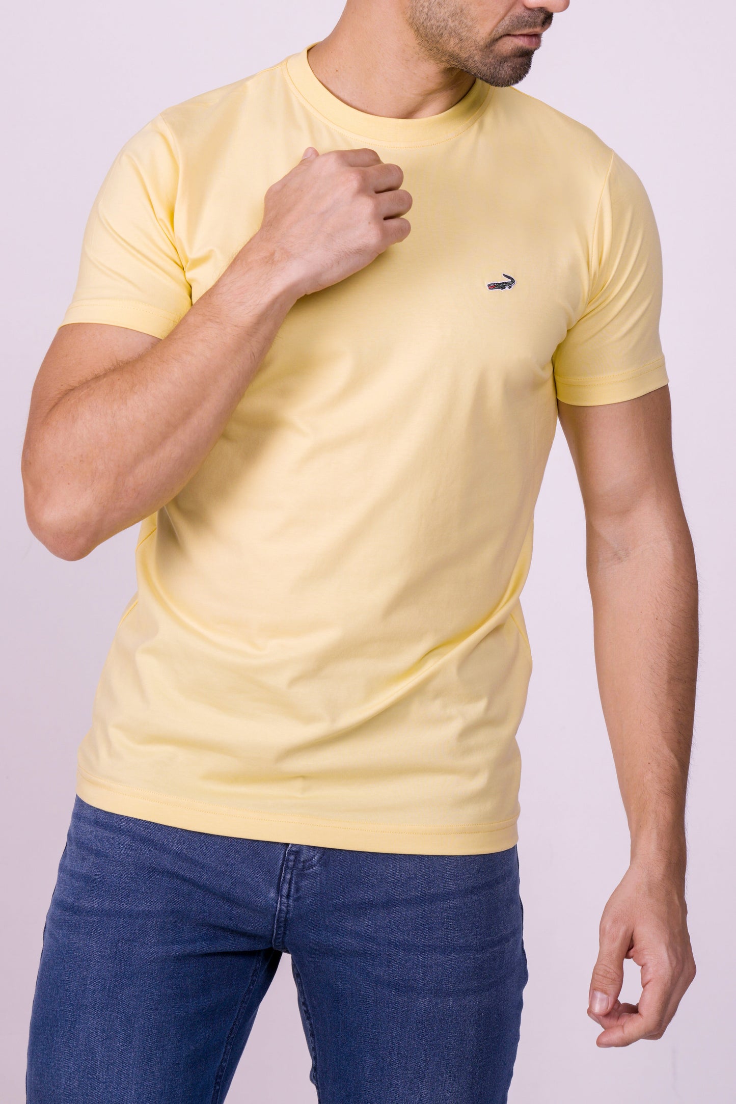 Crocodile Crew Neck  Action Fit Hs T Shirt Aspen Gold