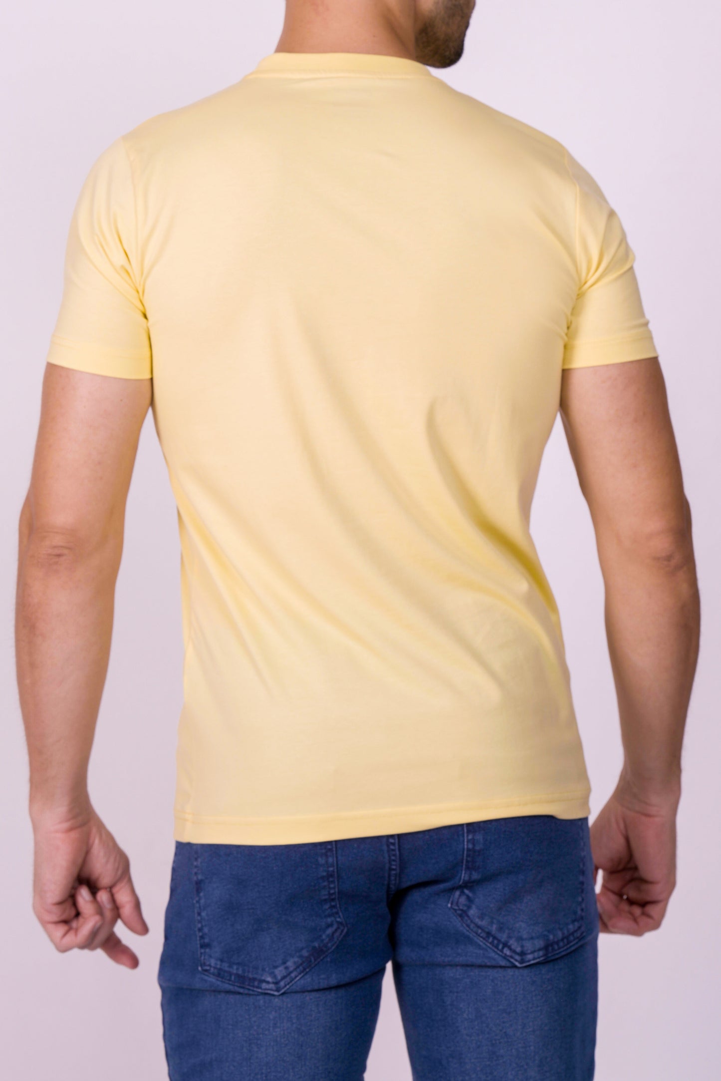 Crocodile Crew Neck  Action Fit Hs T Shirt Aspen Gold