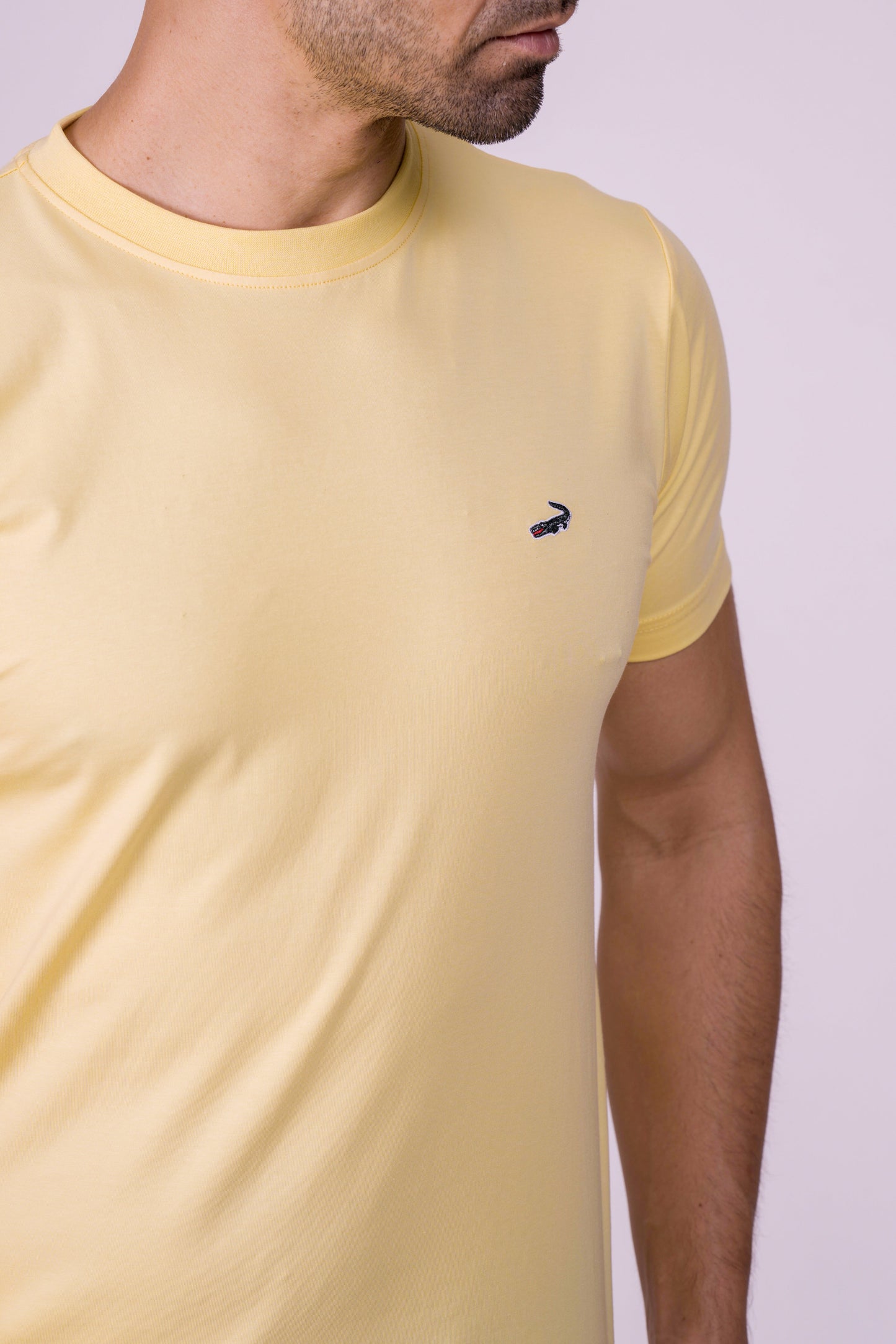 Crocodile Crew Neck  Action Fit Hs T Shirt Aspen Gold