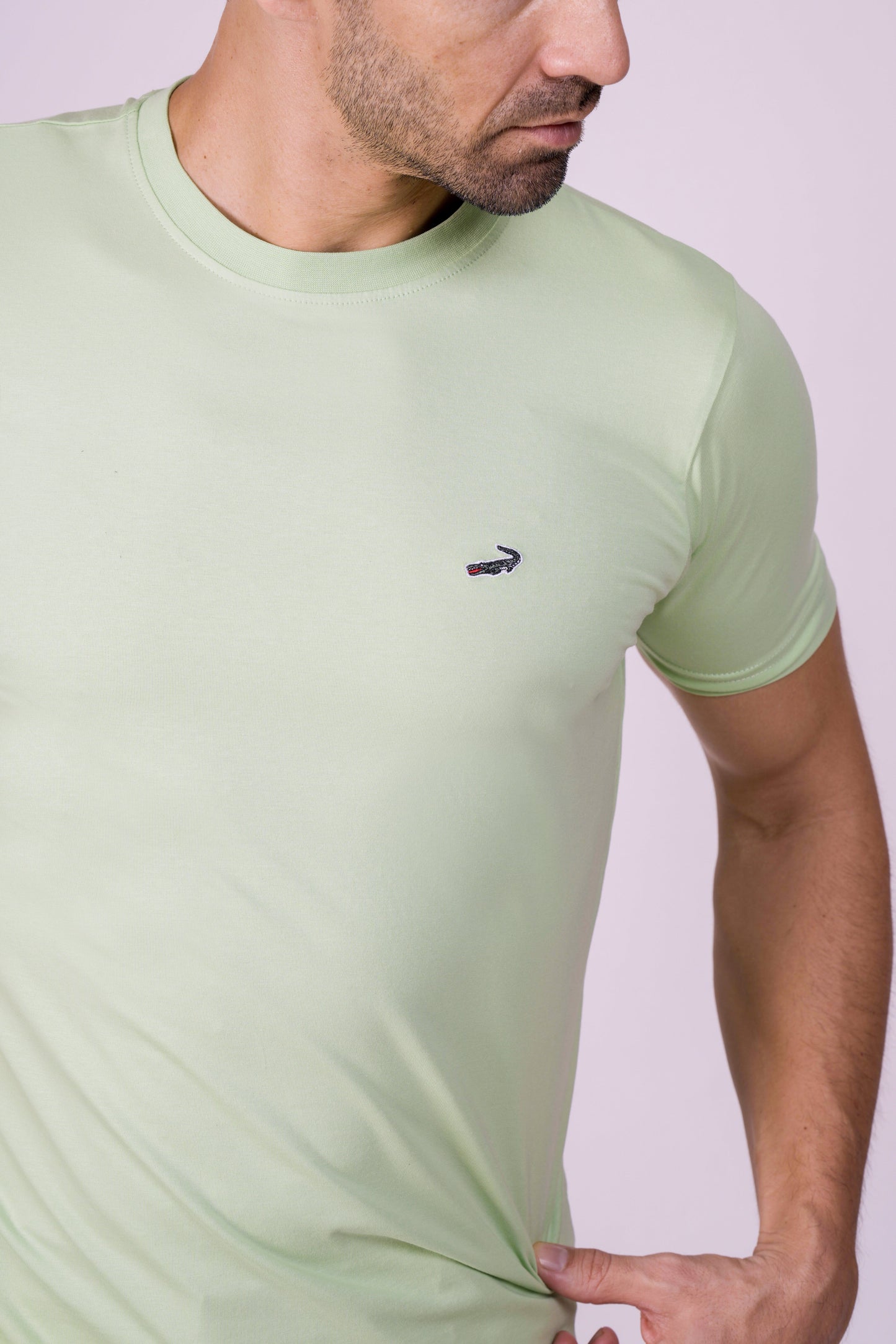 Crocodile Crew Neck  Action Fit Hs T Shirt Green - Pastel Green