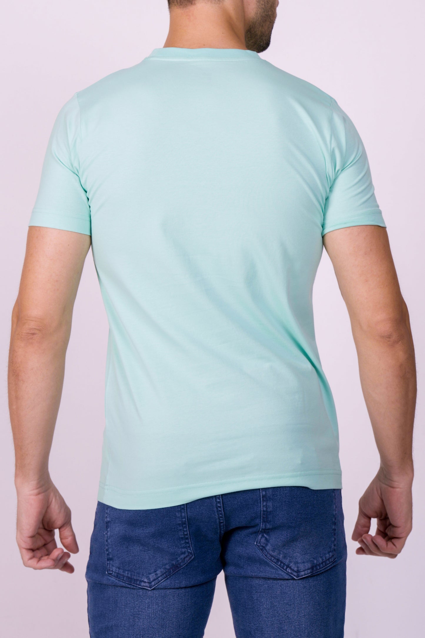 Crocodile Crew Neck  Action Fit Hs T Shirt Green - Biscay Green